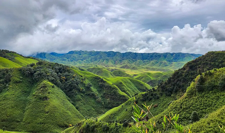 Malowniczy widok na dolinę Dzukou w górach w stanie Nagaland w Indiach z charakterystyczną rzeźbą terenu i bujną zielenią.